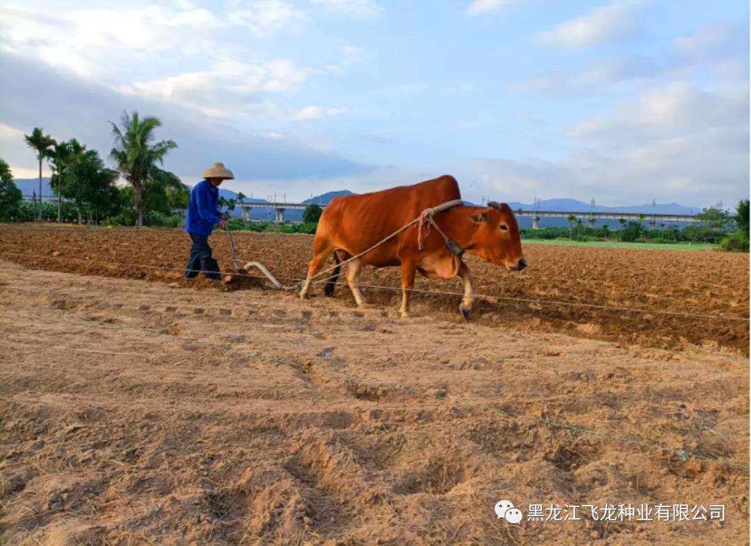 1640653691109184.jpg 4.jpg