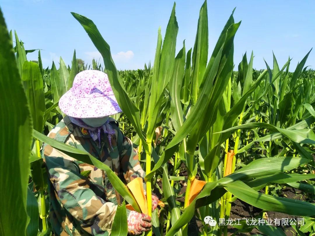 1640659394611911.jpg 2.jpg