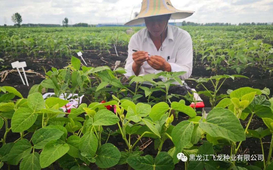 1640660437108534.jpg 6.jpg