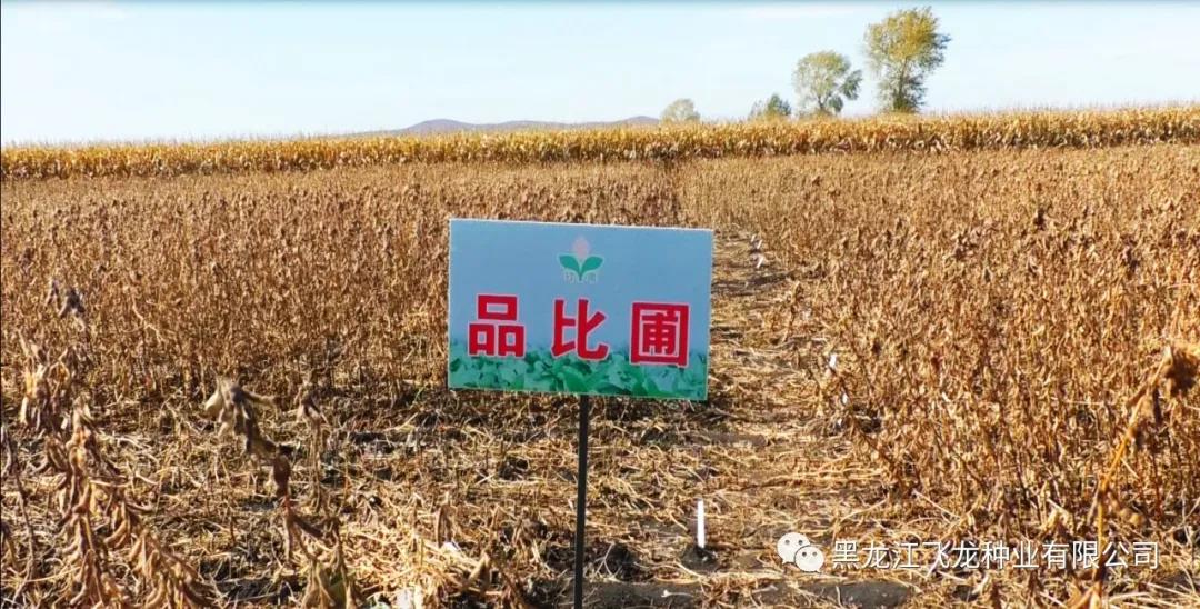 1640670139200958.jpg 13.jpg