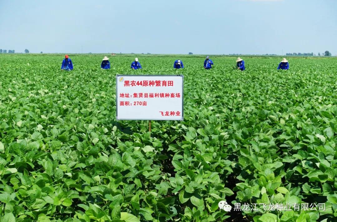 1640672125997907.jpg 5.jpg