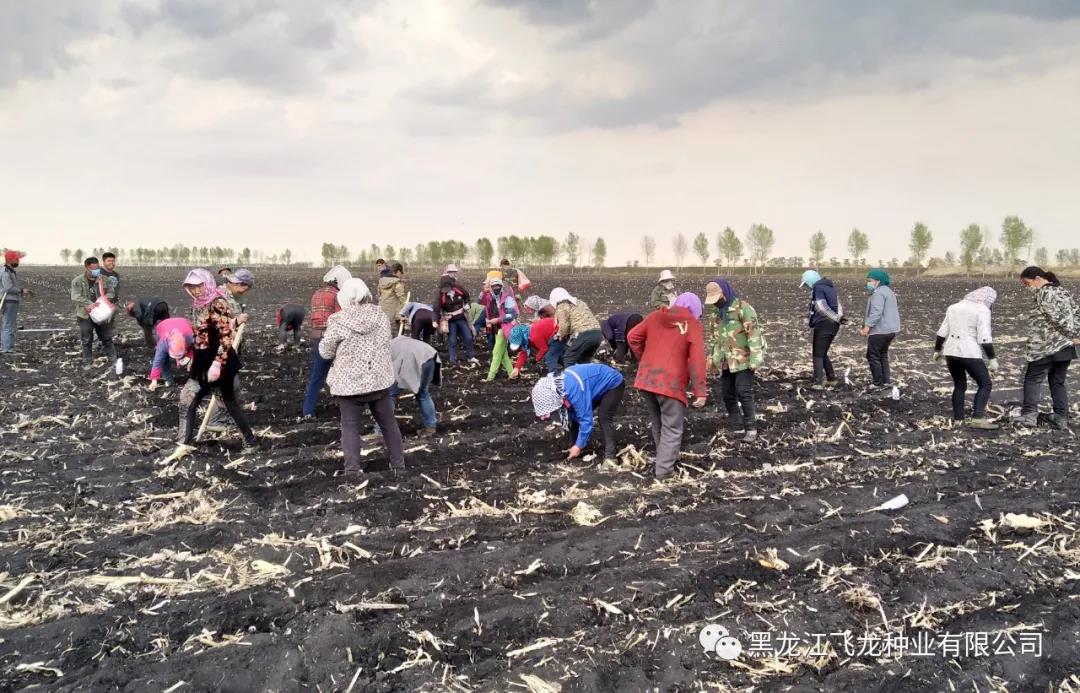 1640673098109274.jpg 2.jpg