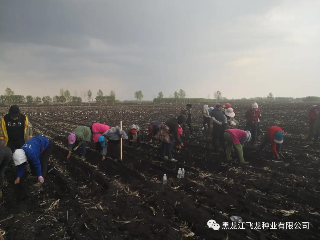 1640673271988870.jpg 17.jpg