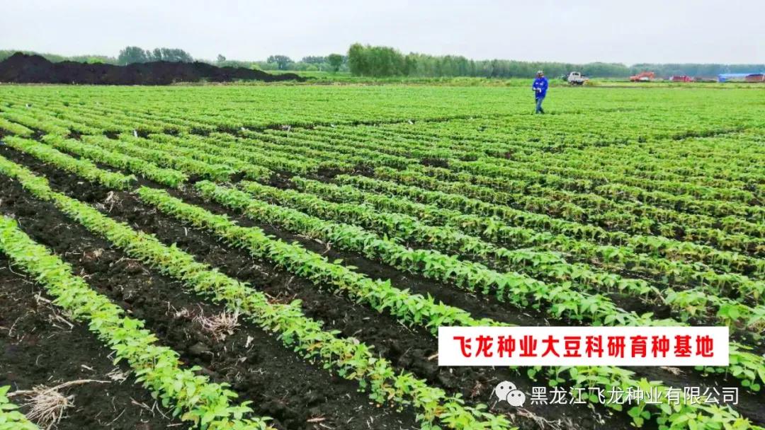 1640673409989128.jpg 2.jpg