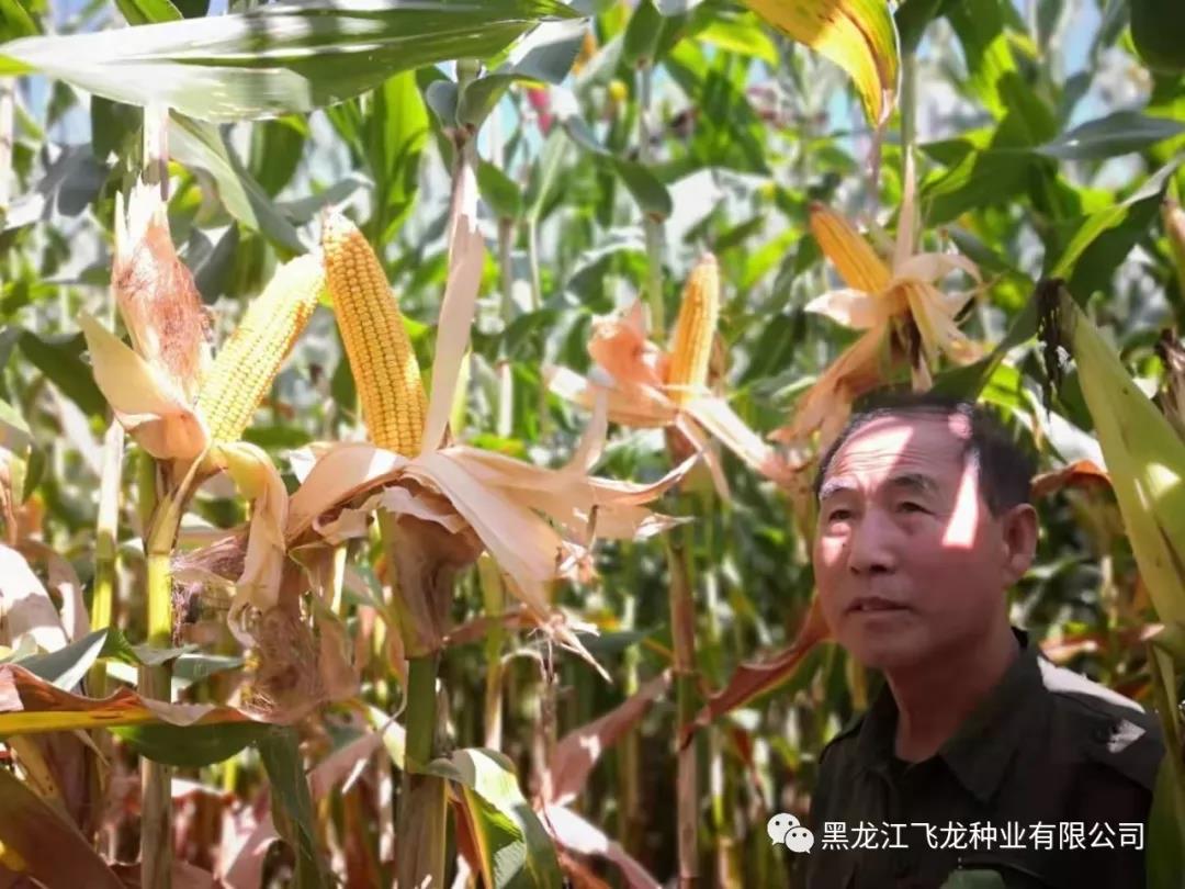 1640678013322437.jpg 3.jpg