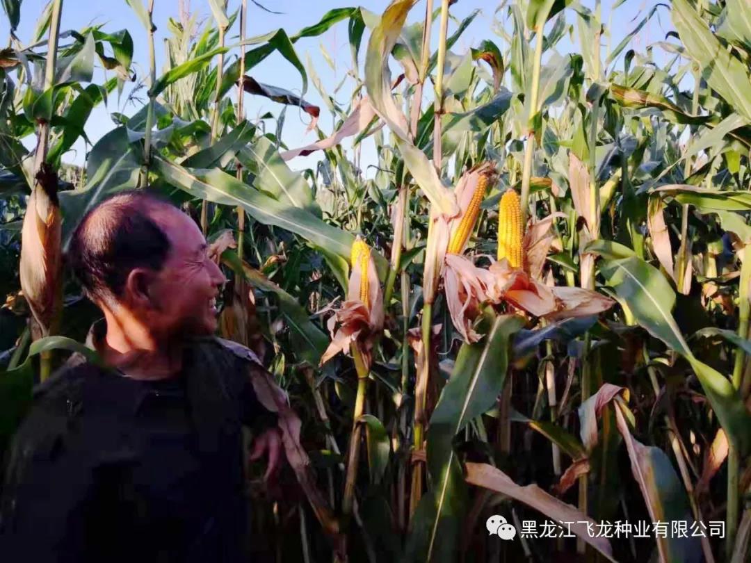 1640678053105621.jpg 5.jpg