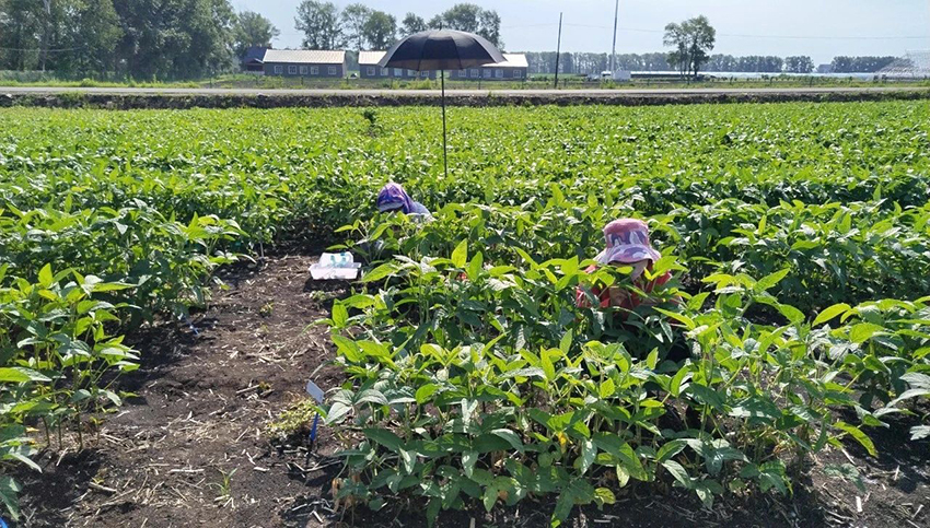 1689726516288485.jpg 1.jpg