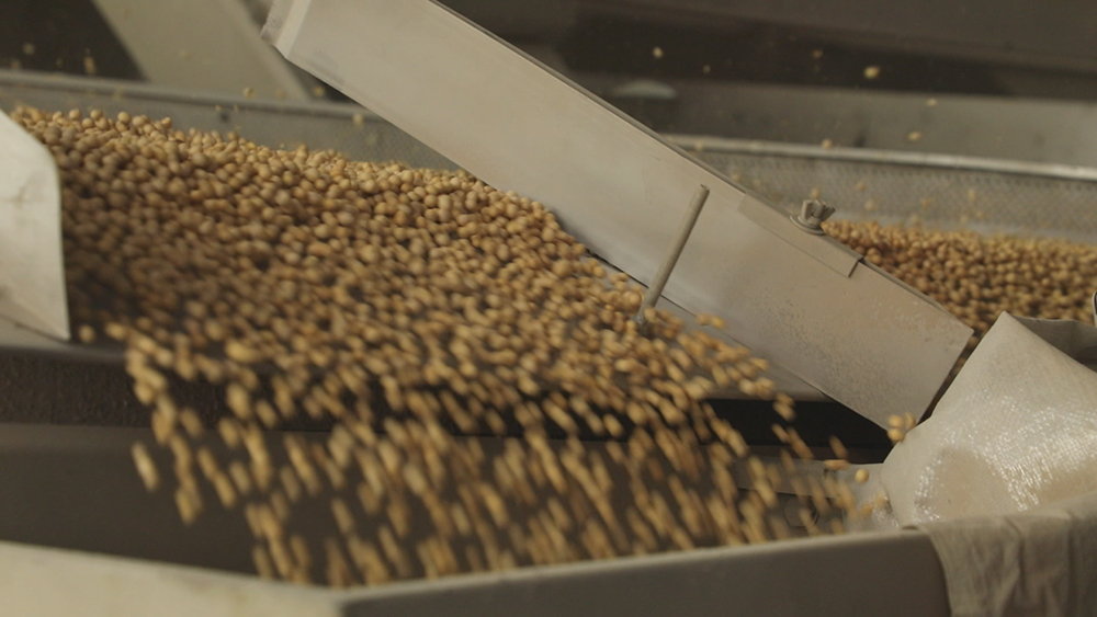 1709715495136152.jpg 3.jpg